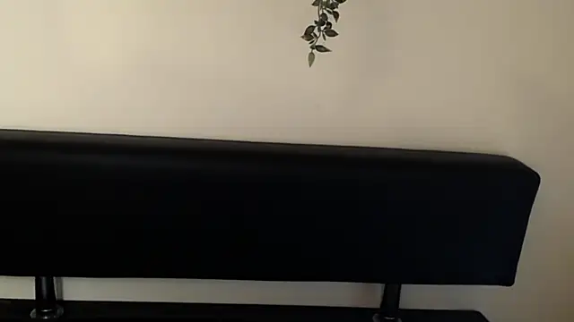 LaimaV  online show from April 10, 2026, 4:55 pm