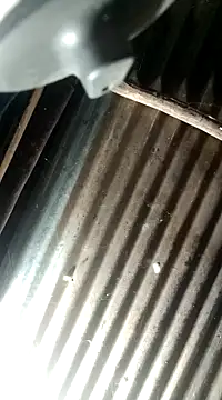 Huebolocko online show from December 4, 2024, 3:26 am