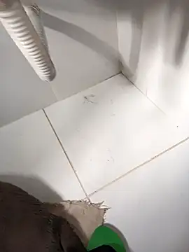 lobomisterioso13 online show from March 14, 2025, 12:07 pm