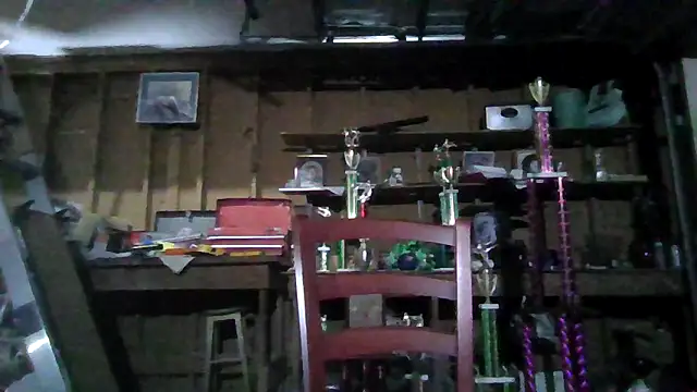 Snapshot of Buffshagswell chatting on March 5, 2025, 12:59 am Buffshagswell online show from March 5, 2025, 12:59 am