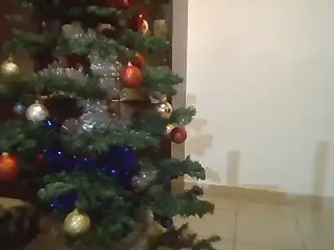 Snapshot of luana63 chatting on December 3, 2024, 1:43 pm luana63 online show from December 3, 2024, 1:43 pm