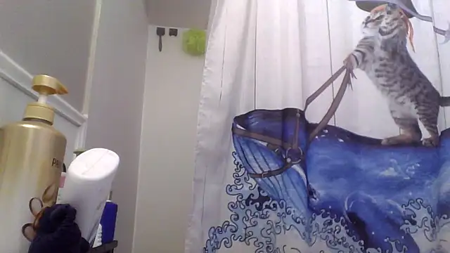 Snapshot of clitstitsandbongrips chatting on November 25, 2025, 3:17 am clitstitsandbongrips online show from November 25, 2025, 3:17 am