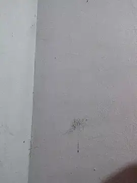 Negrocomedo online show from March 6, 2026, 1:51 pm