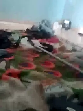 Snapshot of raiu1257 chatting on February 21, 2025, 9:32 pm raiu1257 online show from February 21, 2025, 9:32 pm