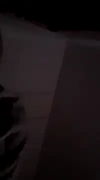 MIGHTY MAGNUM online show from December 9, 2024, 8:33 am