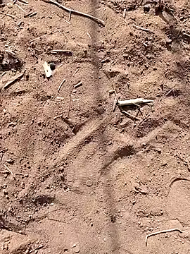 paugrande453 online show from September 24, 2025, 10:51 am