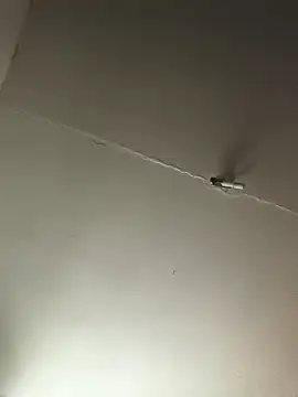 Ozomitro online show from October 25, 2025, 2:35 pm