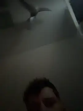 janberlin online show from February 25, 2026, 8:02 am