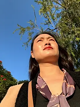 Lfeiji online show from November 26, 2025, 8:37 am