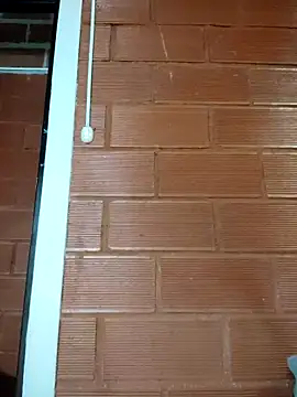 Snapshot of Priyalakshmi_ chatting on February 27, 2025, 1:28 pm Priyalakshmi  online show from February 27, 2025, 1:28 pm