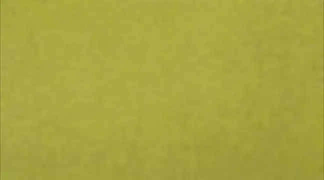 Snapshot of AnneGagner chatting on March 9, 2025, 6:32 pm AnneGagner online show from March 9, 2025, 6:32 pm