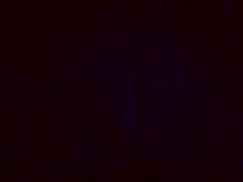 jellydicks online show from December 17, 2024, 5:26 pm