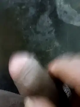 jellydicks online show from January 13, 2025, 1:49 pm