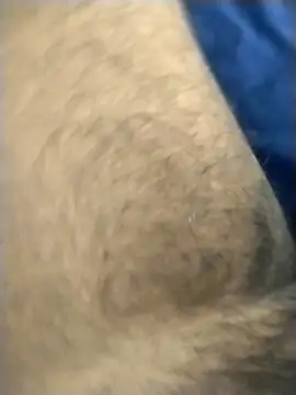 jellydicks online show from March 4, 2026, 2:23 pm