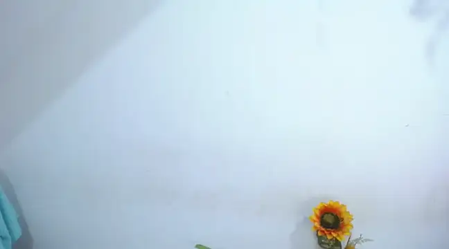 diamonmeli online show from January 14, 2025, 3:57 pm