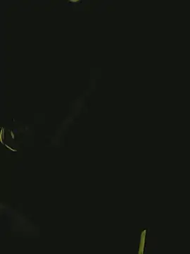 Snapshot of Pressure69mee chatting on March 2, 2025, 10:59 pm Pressure69mee online show from March 2, 2025, 10:59 pm