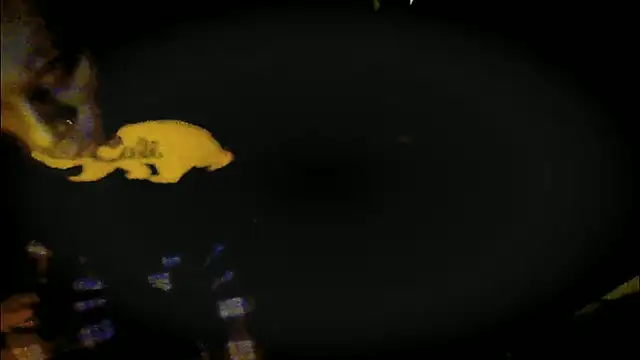 Snapshot of Pressure69mee chatting on March 12, 2025, 9:24 pm Pressure69mee online show from March 12, 2025, 9:24 pm