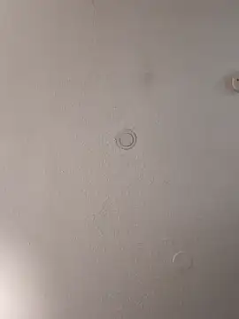 geilerschwanz64 online show from February 2, 2025, 4:00 pm