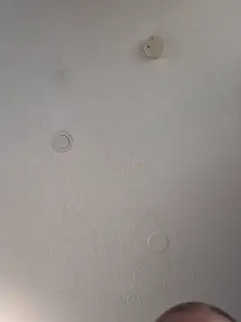 geilerschwanz64 online show from March 14, 2025, 8:17 pm