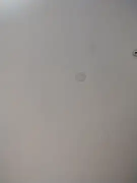 geilerschwanz64 online show from June 23, 2026, 1:53 pm