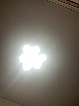 Janet Welder online show from December 19, 2024, 6:56 pm