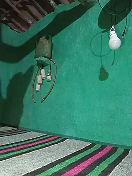 Hoty girl 143 online show from May 18, 2026, 2:29 am