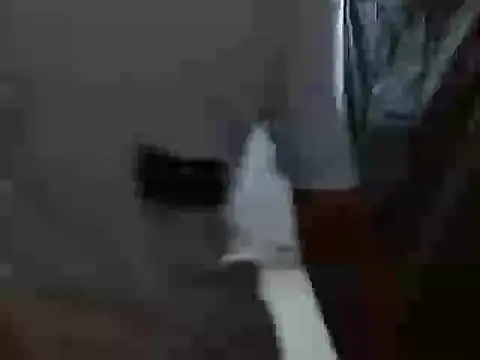 Snapshot of latino_hotxxx chatting on October 20, 2025, 11:27 pm latino hotxxx online show from October 20, 2025, 11:27 pm