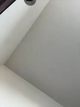 Snapshot of LOUIS-1256 chatting on December 20, 2024, 1:11 pm LOUIS-1256 online show from December 20, 2024, 1:11 pm