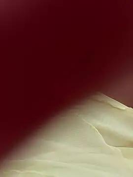 Snapshot of lariic chatting on March 31, 2026, 6:41 pm lariic online show from March 31, 2026, 6:41 pm