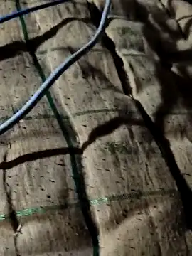 Kolkataboiy online show from October 2, 2025, 10:50 pm