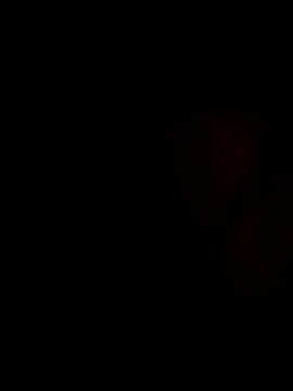 stevenp online show from November 2, 2025, 7:22 am