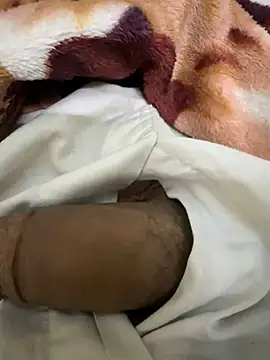 Snapshot of hamed-697 chatting on December 9, 2024, 11:24 pm hamed-697 online show from December 9, 2024, 11:24 pm