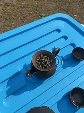 CN-Shanshan online show from February 1, 2026, 4:00 am