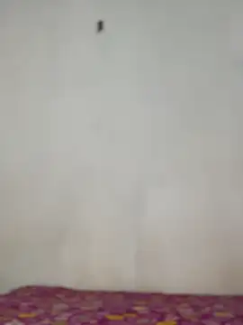 Nicole cute1 online show from November 30, 2025, 7:29 pm