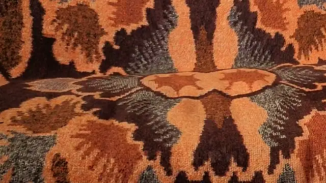 loverboyxxx69 online show from February 9, 2026, 1:26 pm