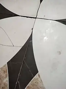 savixxx online show from December 5, 2024, 5:48 am