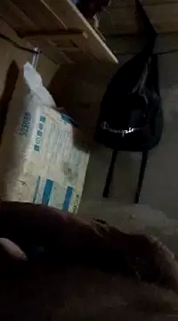 Snapshot of cockringkelley97 chatting on December 1, 2024, 4:29 pm cockringkelley97 online show from December 1, 2024, 4:29 pm