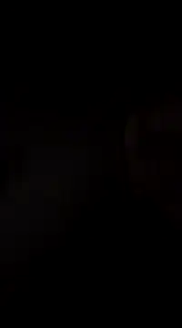 hoot denis28 online show from December 7, 2024, 11:23 pm