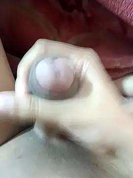 GUWAHATIBULL4405 online show from December 9, 2024, 1:02 pm