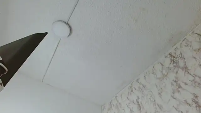 AlexaFontana online show from February 14, 2026, 8:00 am