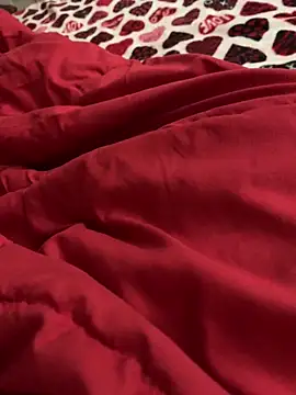 Snapshot of Mingtian4117 chatting on March 3, 2026, 5:35 am Mingtian4117 online show from March 3, 2026, 5:35 am