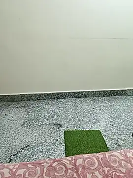 Snapshot of Saroj-Shah chatting on March 10, 2026, 5:07 pm Saroj-Shah online show from March 10, 2026, 5:07 pm