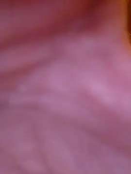 Snapshot of Freddyking146f chatting on November 30, 2025, 1:42 am Freddyking146f online show from November 30, 2025, 1:42 am