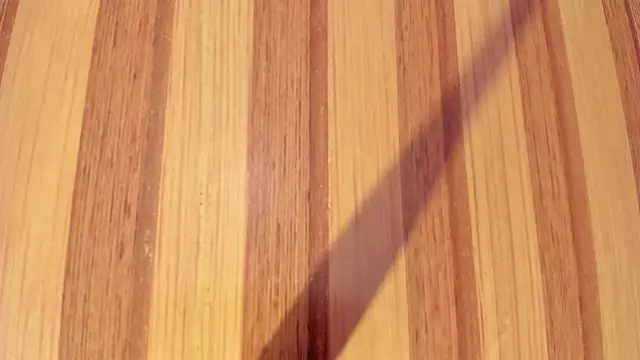 Taylor  cooper online show from December 16, 2025, 6:24 pm