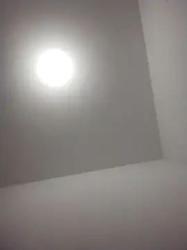 barboza991 online show from December 28, 2024, 11:48 pm