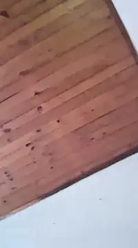 Snapshot of DANIELA_MICHEL chatting on January 19, 2025, 8:41 pm DANIELA MICHEL online show from January 19, 2025, 8:41 pm