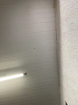 luara1988 online show from October 23, 2025, 10:58 am