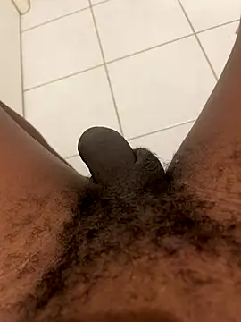 Snapshot of arrete2025 chatting on November 12, 2025, 1:44 pm arrete2025 online show from November 12, 2025, 1:44 pm