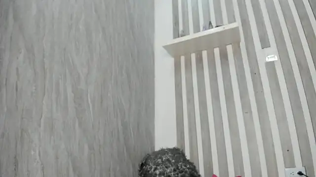 Snapshot of MarieMyller chatting on February 20, 2025, 9:09 pm MarieMyller online show from February 20, 2025, 9:09 pm