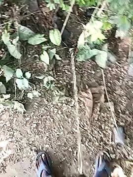 desicockblack online show from December 3, 2024, 6:15 am